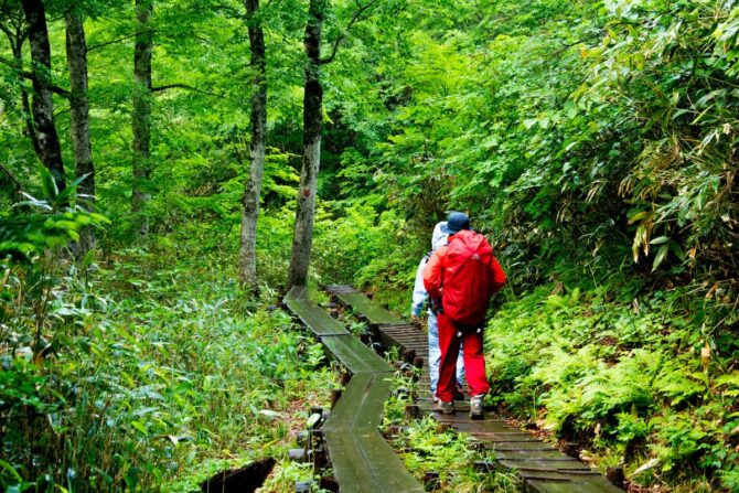 梅雨の登山に適した服装の選び方を紹介