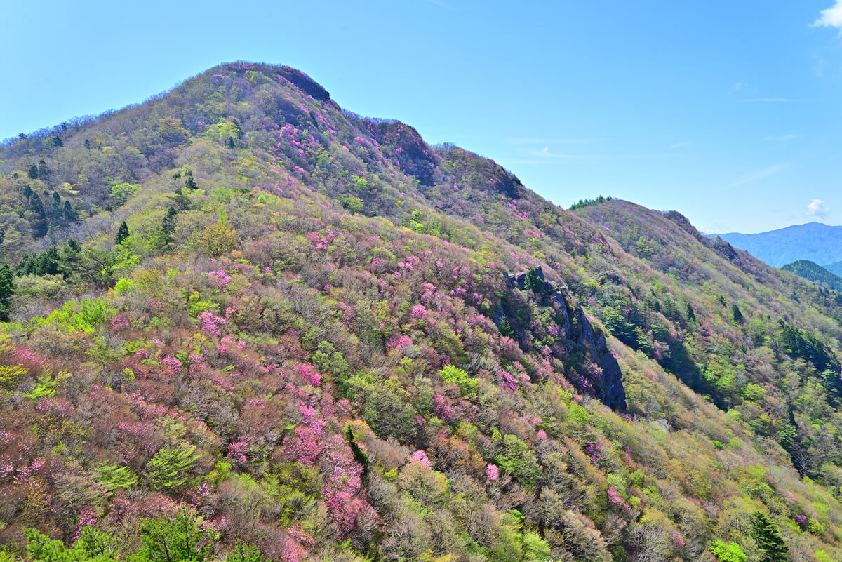 春の花が咲く登山四国