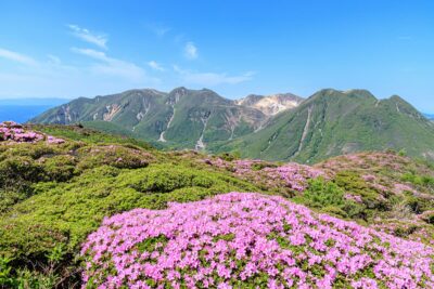 【2024年版】九州エリアでお花見登山ができる山4選