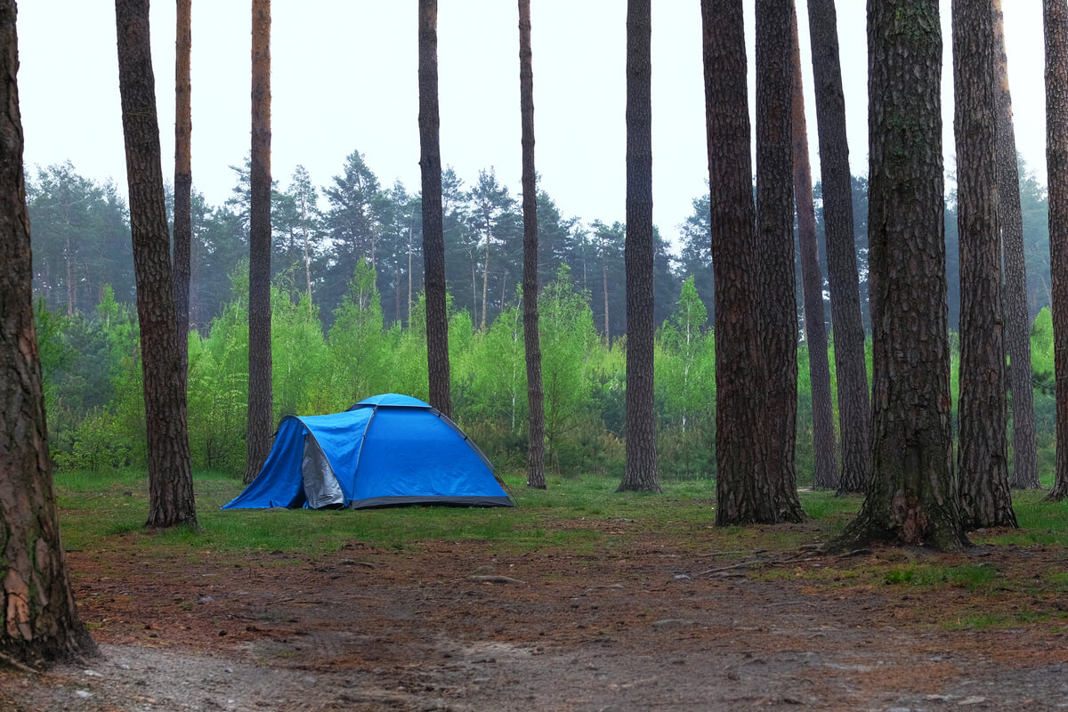 キャンプ　雨に強いテント