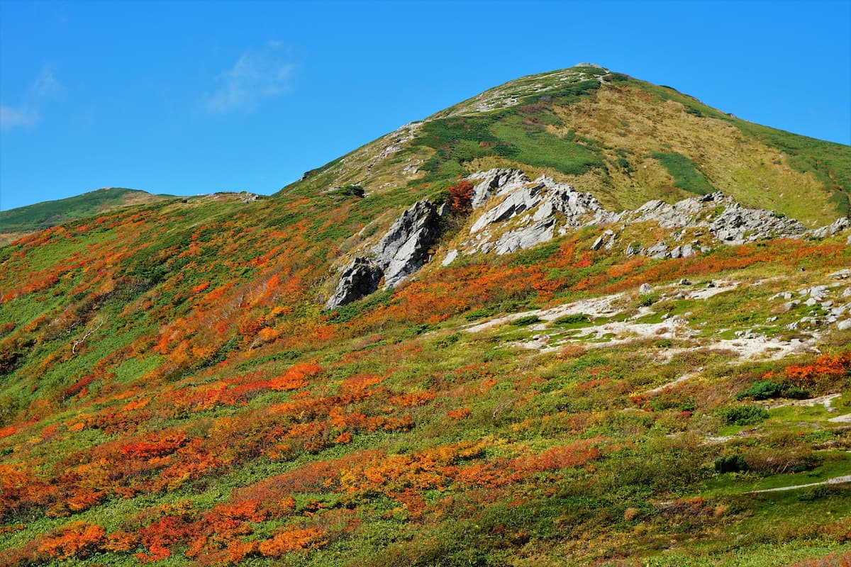 本格登山で紅葉を楽しむコース紹介