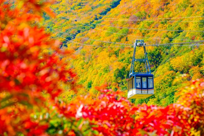 【紅葉山行プラン・Part2】ロープウェイでのんびり登山と絶景を堪能するコース5選