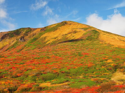 秋の登山でその服装はNG！！レイヤリングのコツや注意点