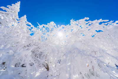 【甲信越エリア】2024年 初心者向けの雪山登山におすすめの山6選