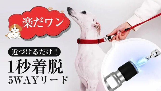 カチッと1秒着脱！5WAYマルチペット用リードがMakuakeにて先行販売！