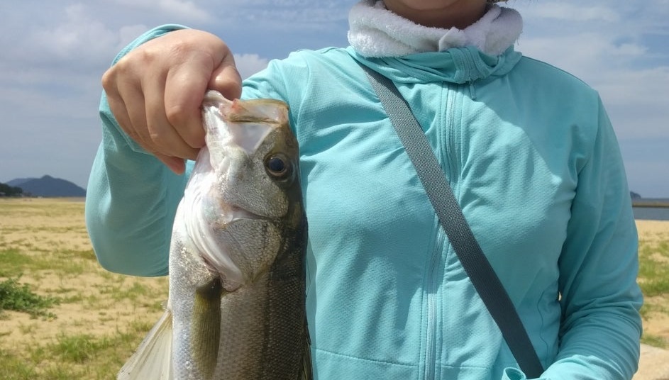 50年間の釣りが導いた驚きの発見！これでボウズはもう怖くない