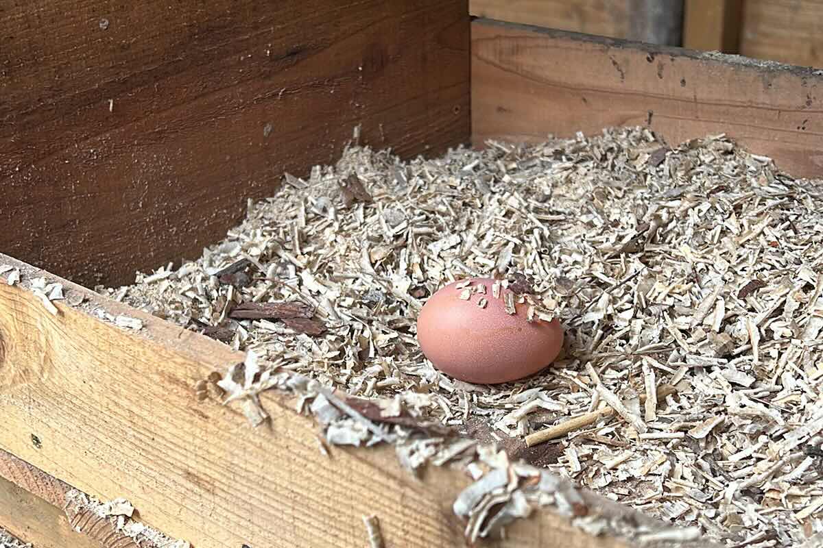 山羊男の自給自足的な暮らし