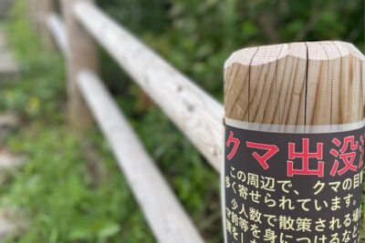 「緊迫の瞬間！」熊に遭遇した実体験から学んだ安全対策とは？