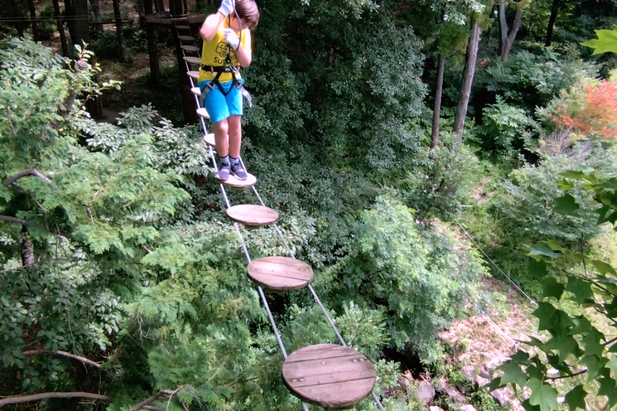 自然の中で遊べる筑波山の家族アクティビティ