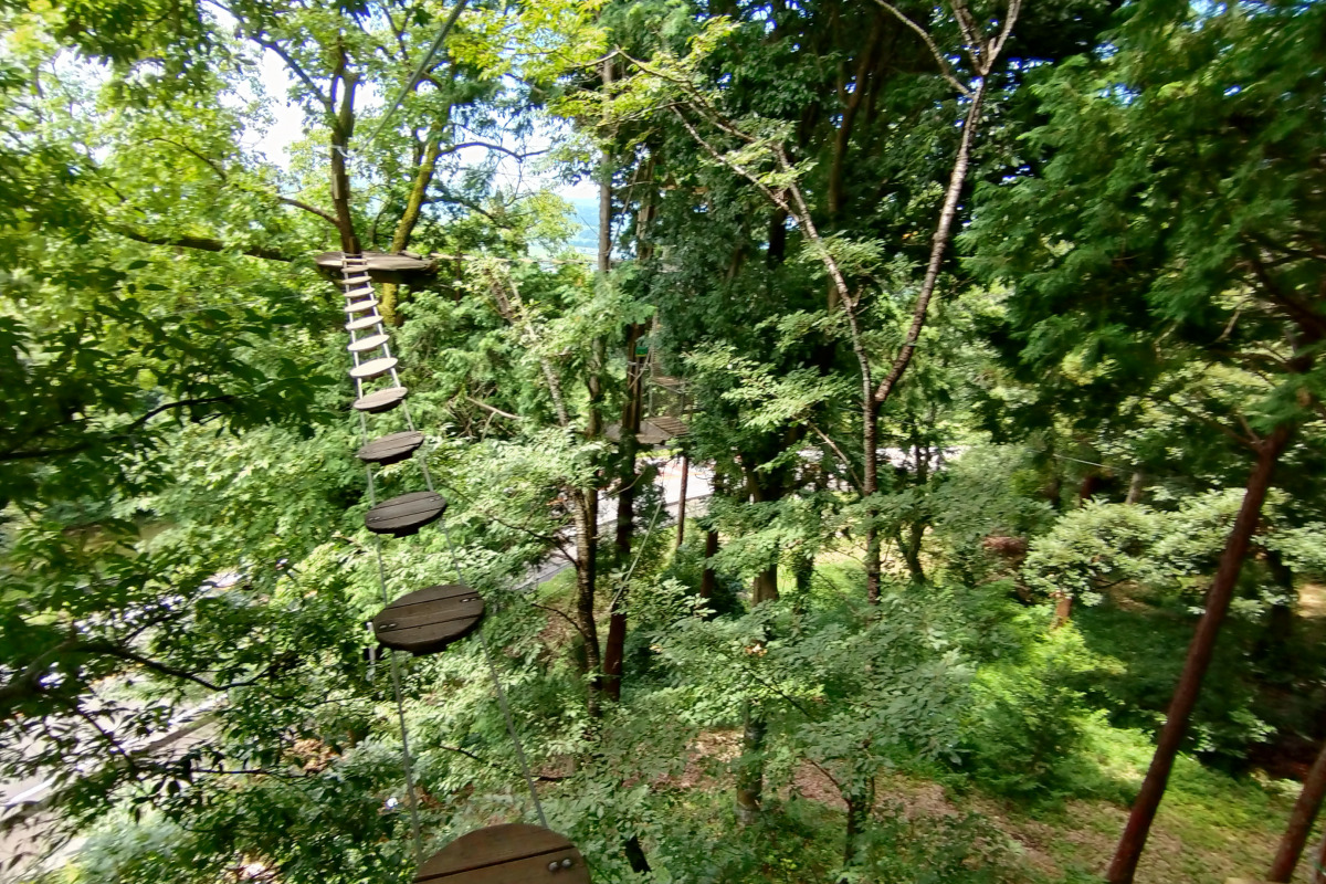 自然の中で遊べる筑波山の家族アクティビティ