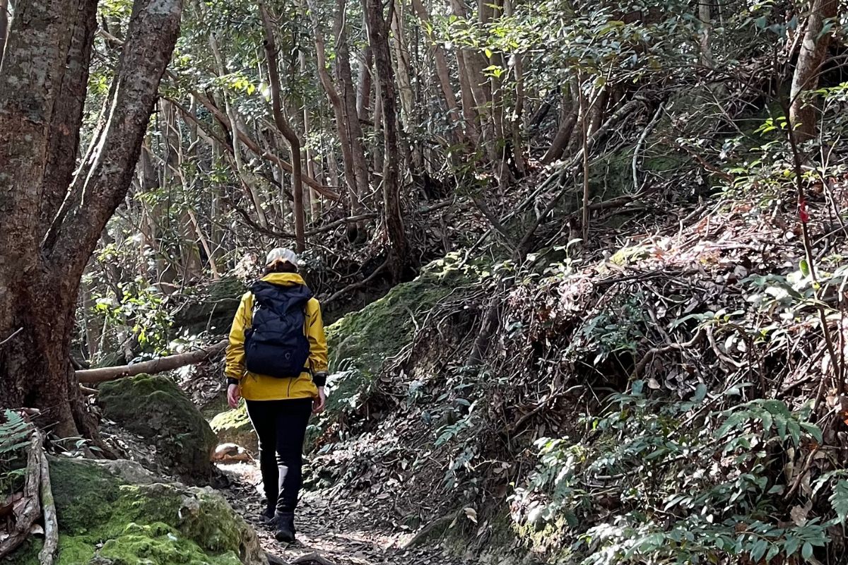 登山　安全講習