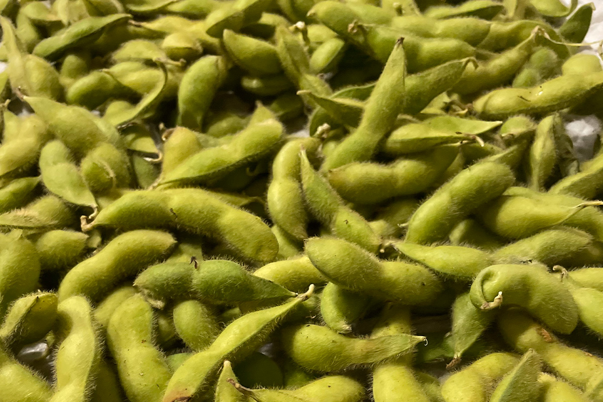 あけぼの大豆と枝豆のおいしいゆで方