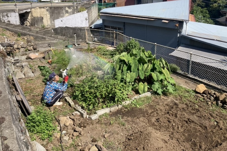 移住の実態、ライフスキル➁