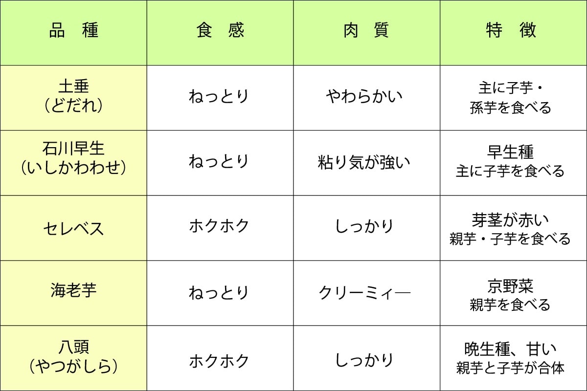 里芋の選び方　おいしい煮方