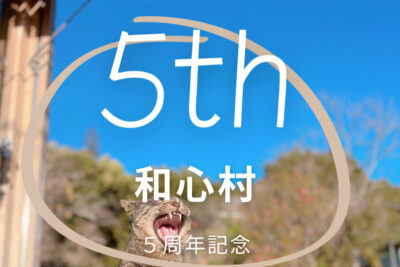 保護猫たちと過ごせる和心村が開業5周年記念キャンペーンを開催！