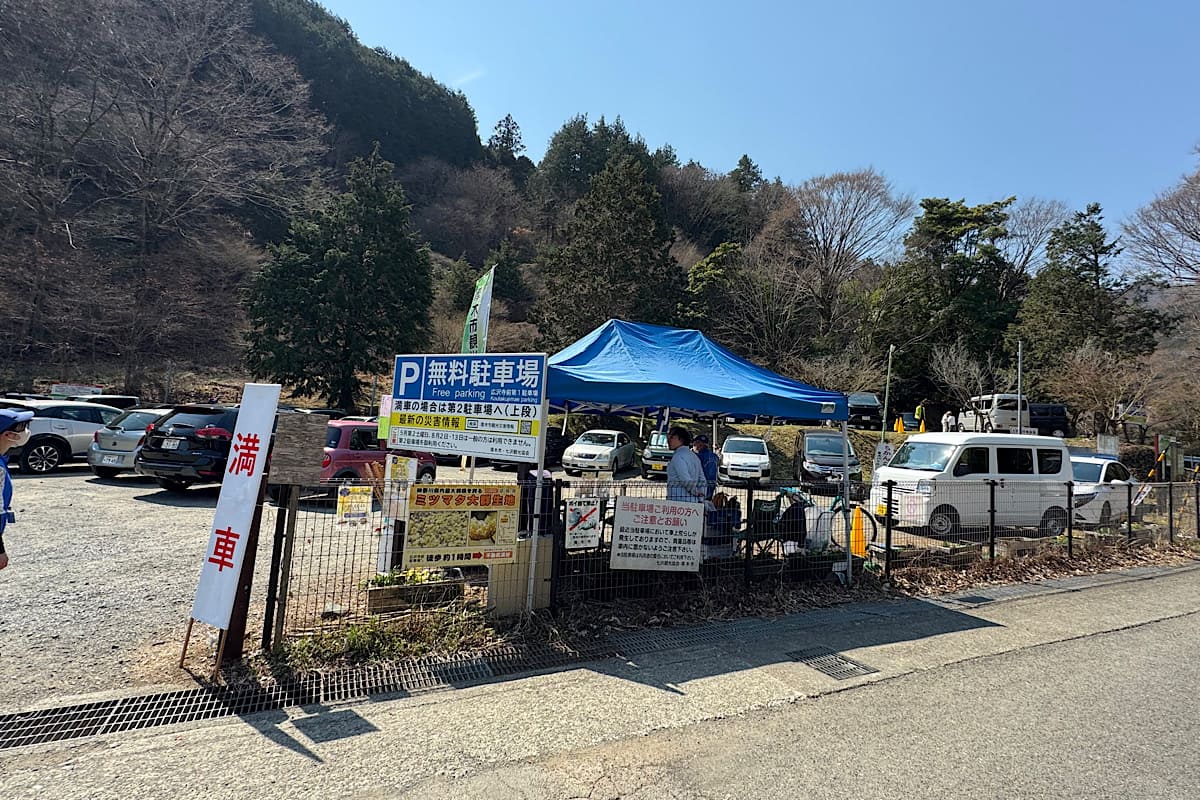 不動尻ミツマタ大群生地