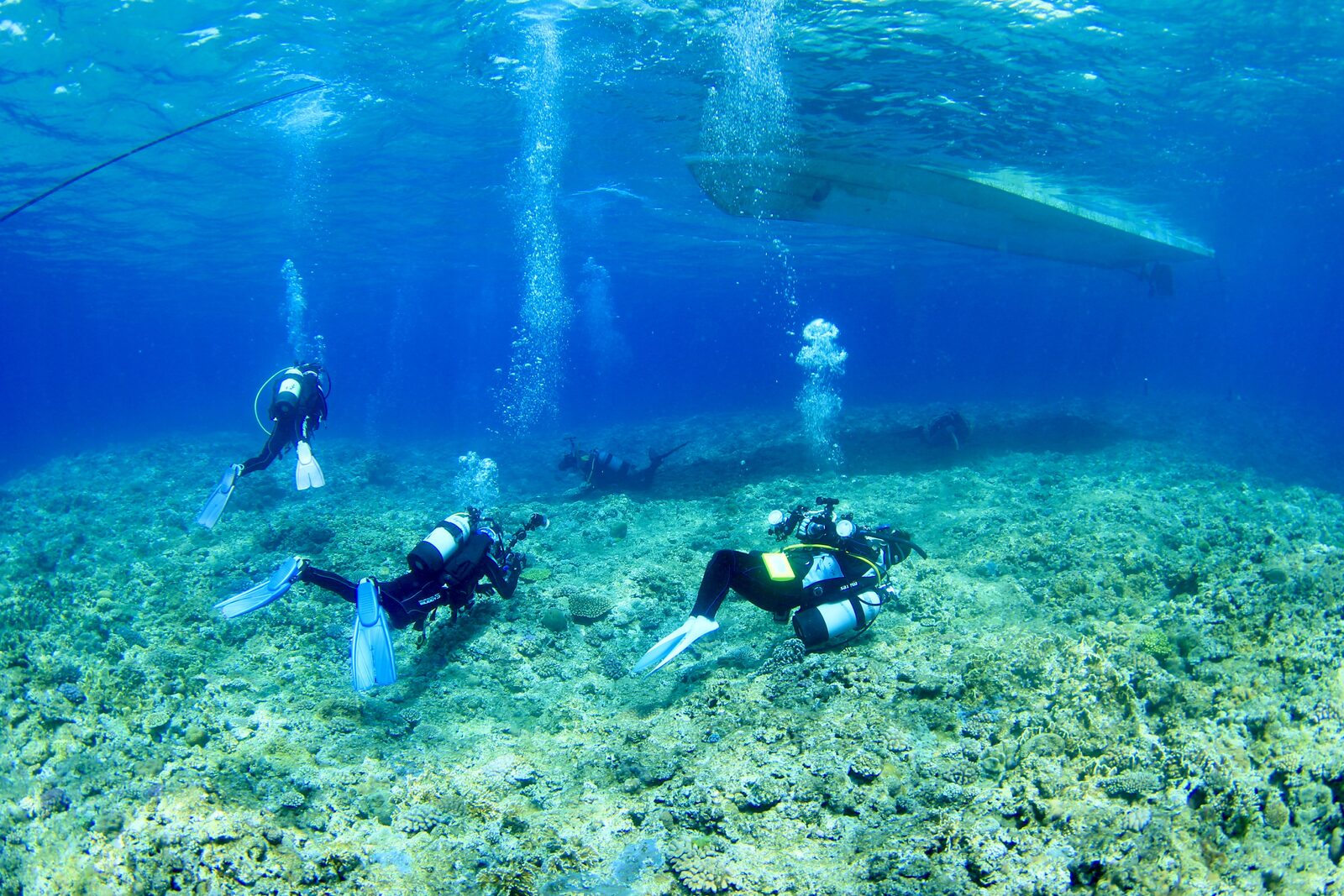 diving_wetsuit