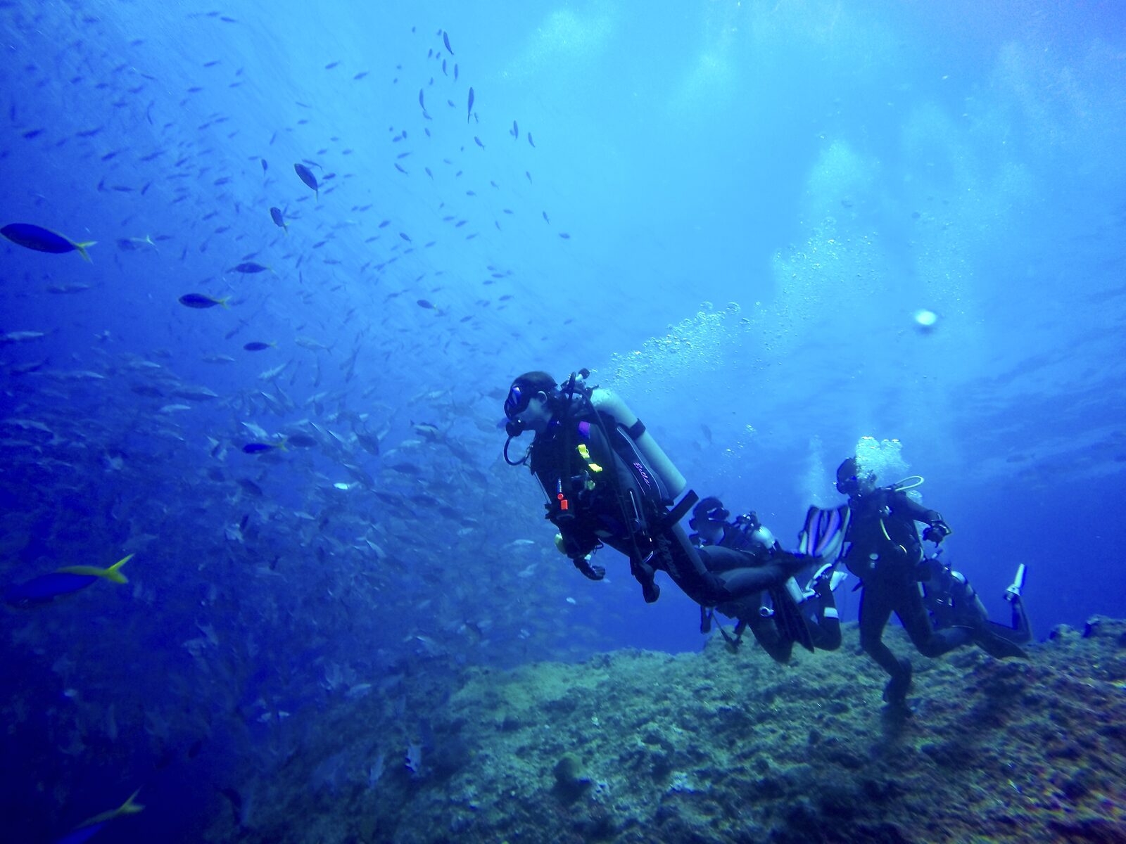 diving_wetsuit