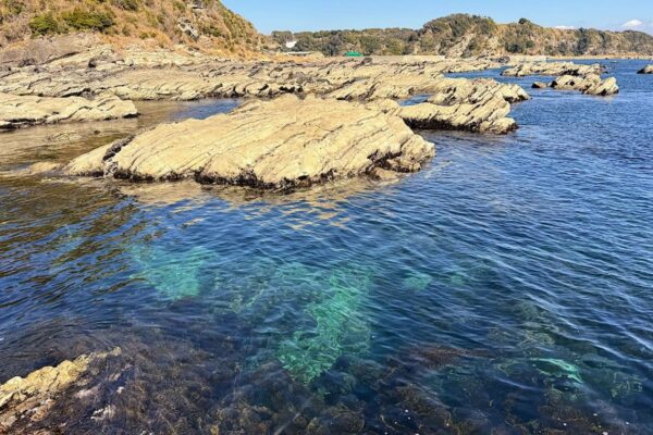 【三浦半島・岩礁のみち】自然が織りなす絶景を感じながら岩稜ハイクを楽しもう