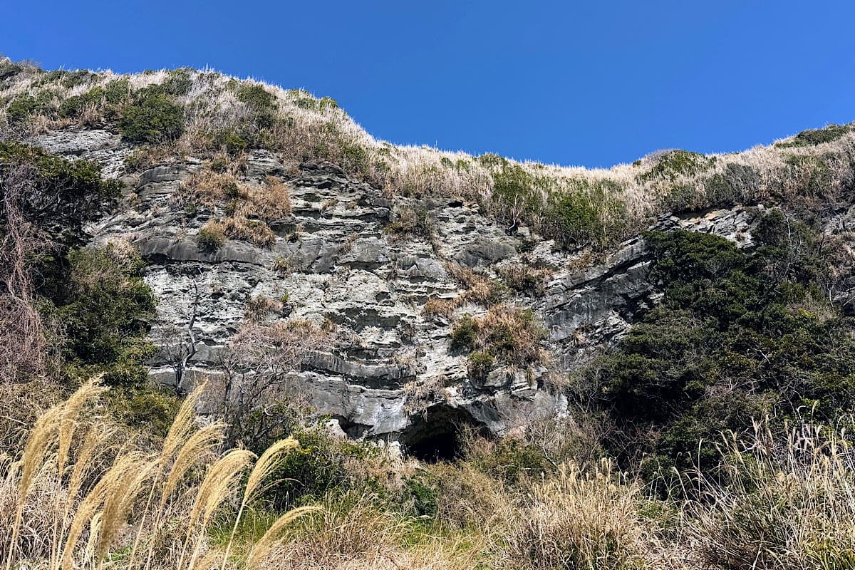 三浦半島・岩礁のみち