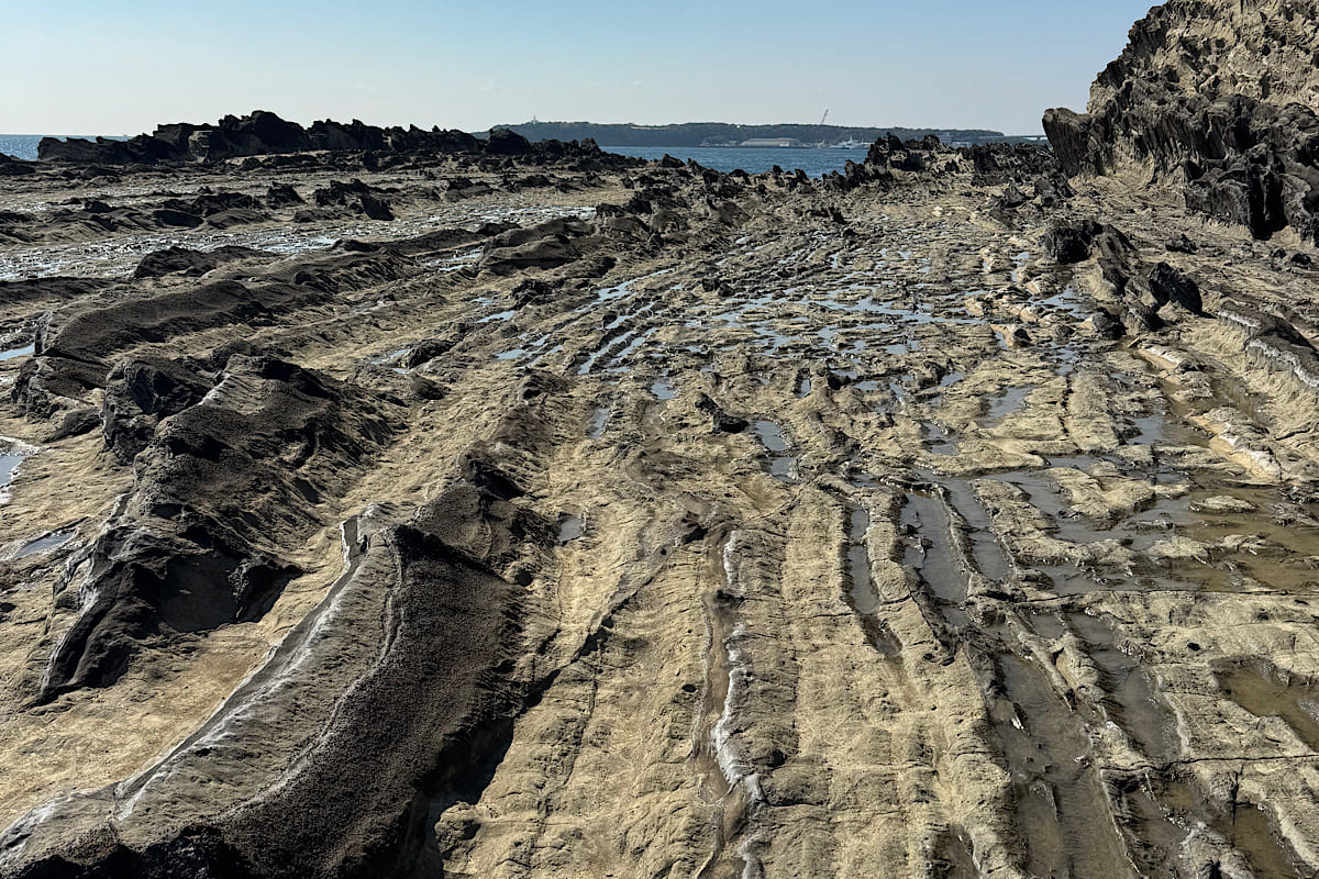 三浦半島・岩礁のみち