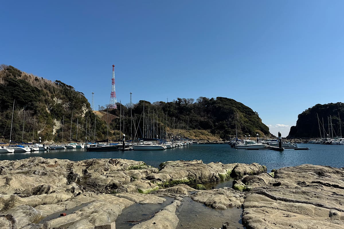 三浦半島・岩礁のみち