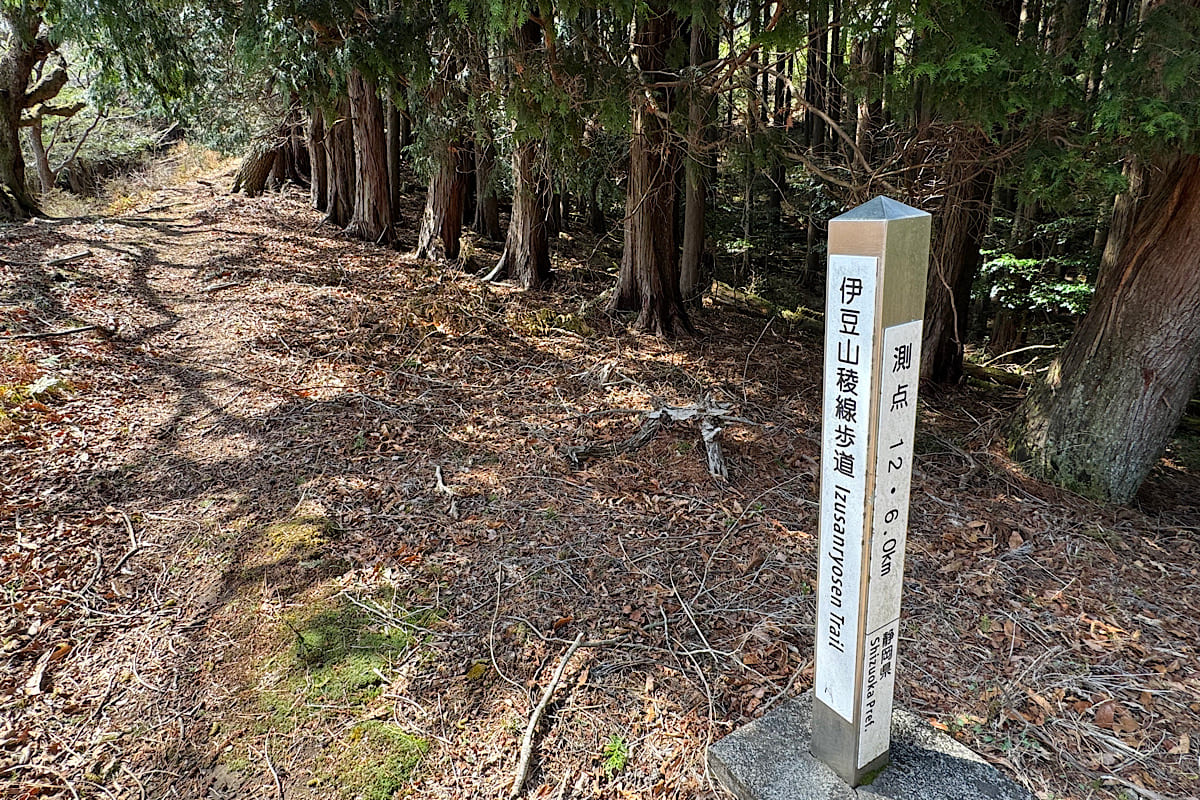 伊豆山稜線歩道体験記