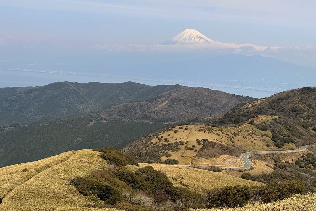 伊豆山稜線歩道体験記