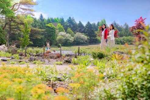 「富士芝桜まつり」 