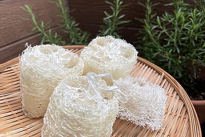 毎日の「洗う」を見直す。暮らしが変わるヘチマたわしの使い方
