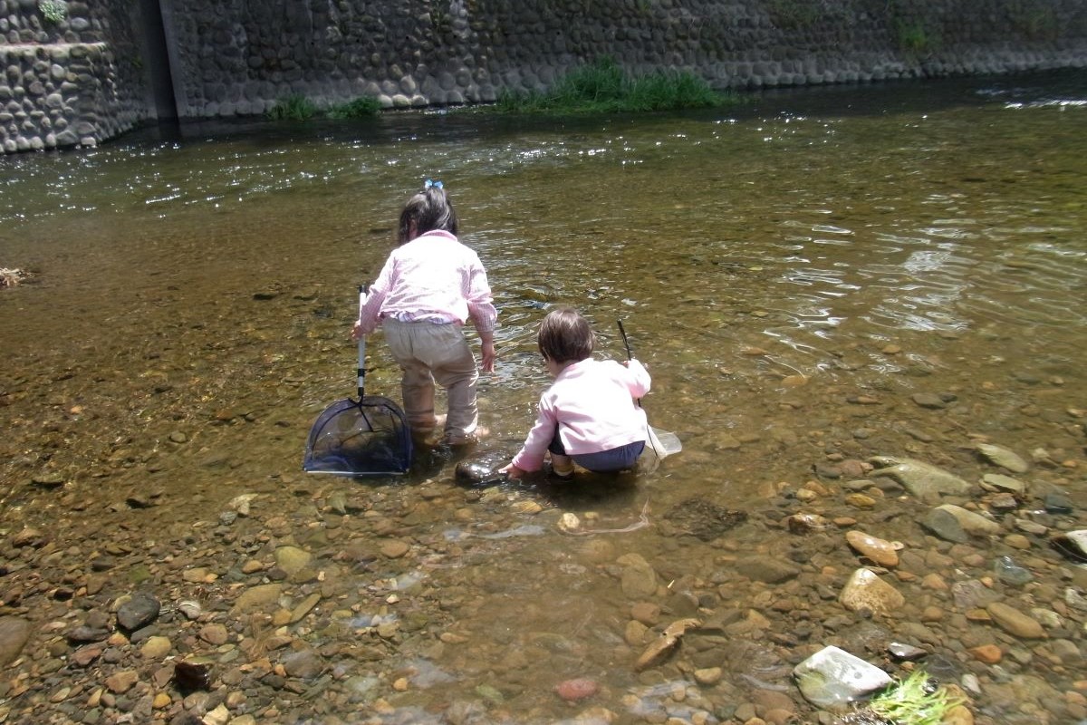 外来生物　外来生物法　ザリガニ