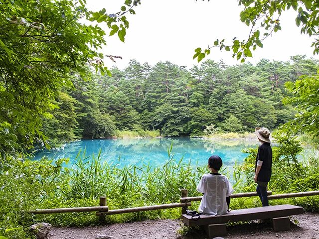 休暇村裏磐梯、宿泊プラン