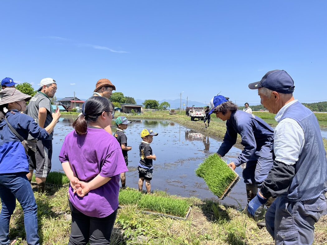 親子でお米の田植え体験イベント」5月25日開催