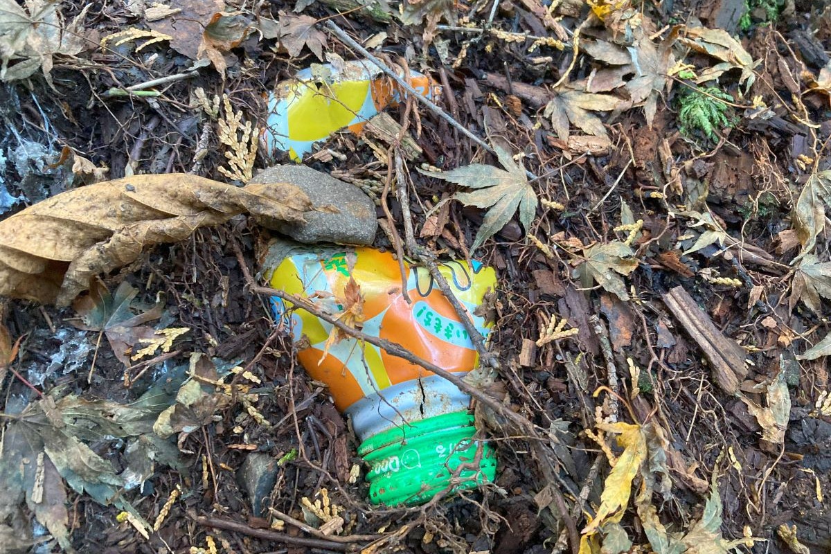 アウトドア　環境教育　親子