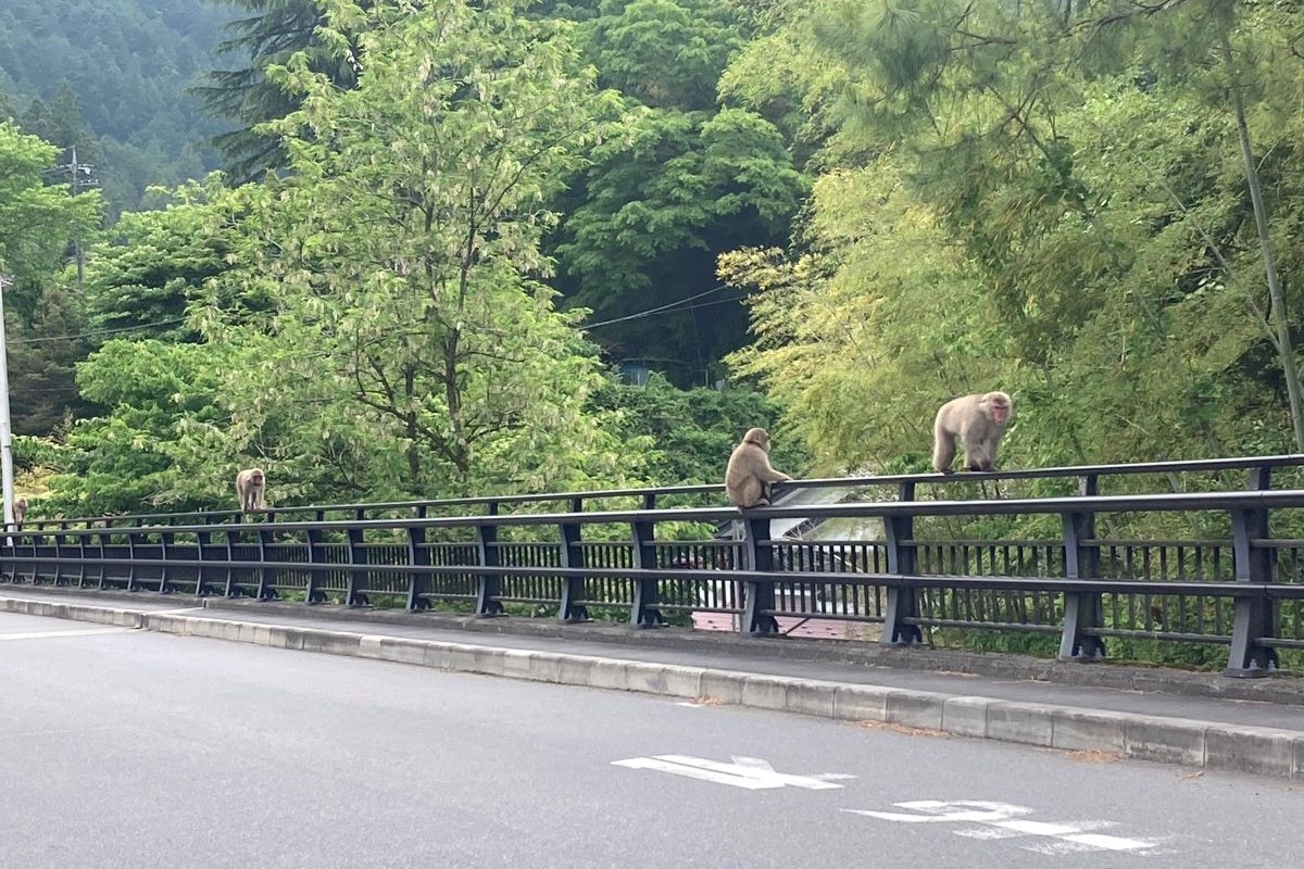 アウトドア　環境教育　親子