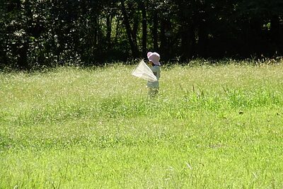 マダニから子どもを守るには？野山に潜む感染症のリスクと対策を知ろう