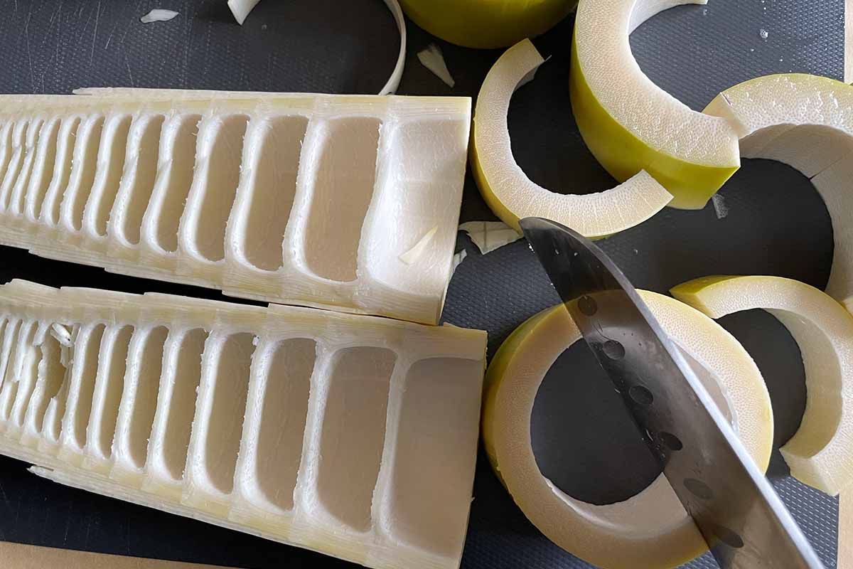 メンマ　竹林再生