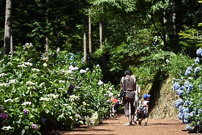 東京国立公園エリアの涼と賑わいを満喫！西多摩の夏イベント最前線