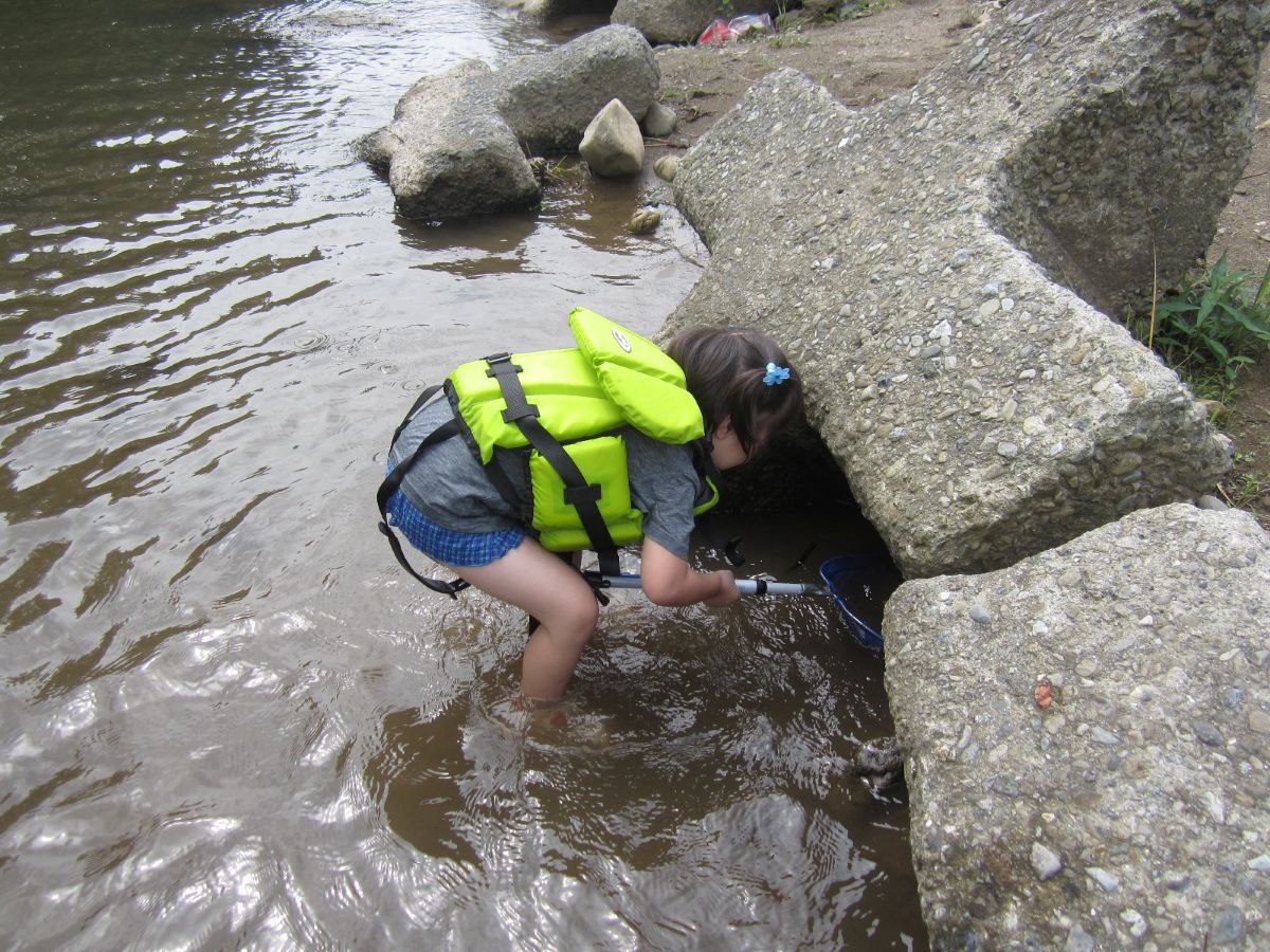 子ども　自然　環境教育