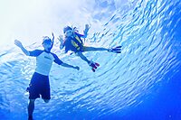【保存版】家族の海遊びが10倍楽しくなる持ち物リスト｜安全＆快適グッズ厳選