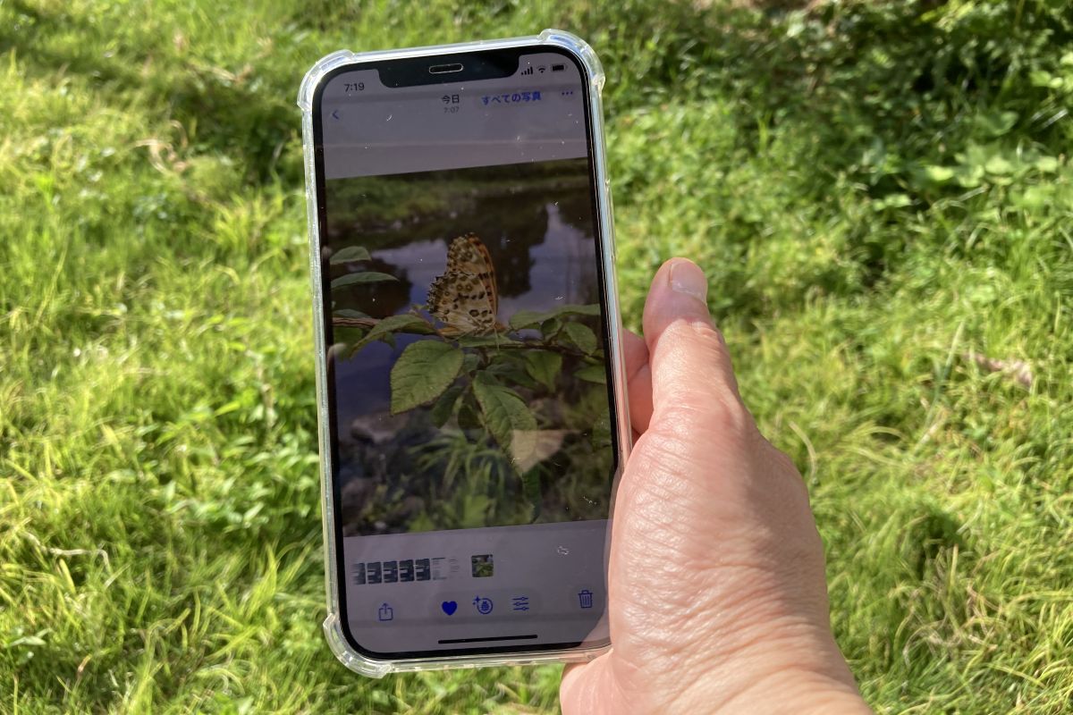 生きもの　調べ　親子