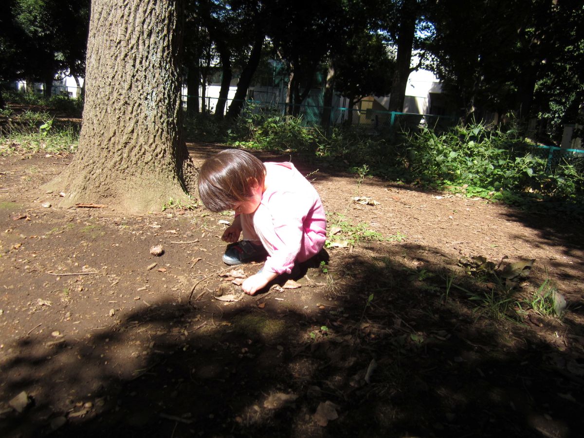 子ども　自然　環境教育