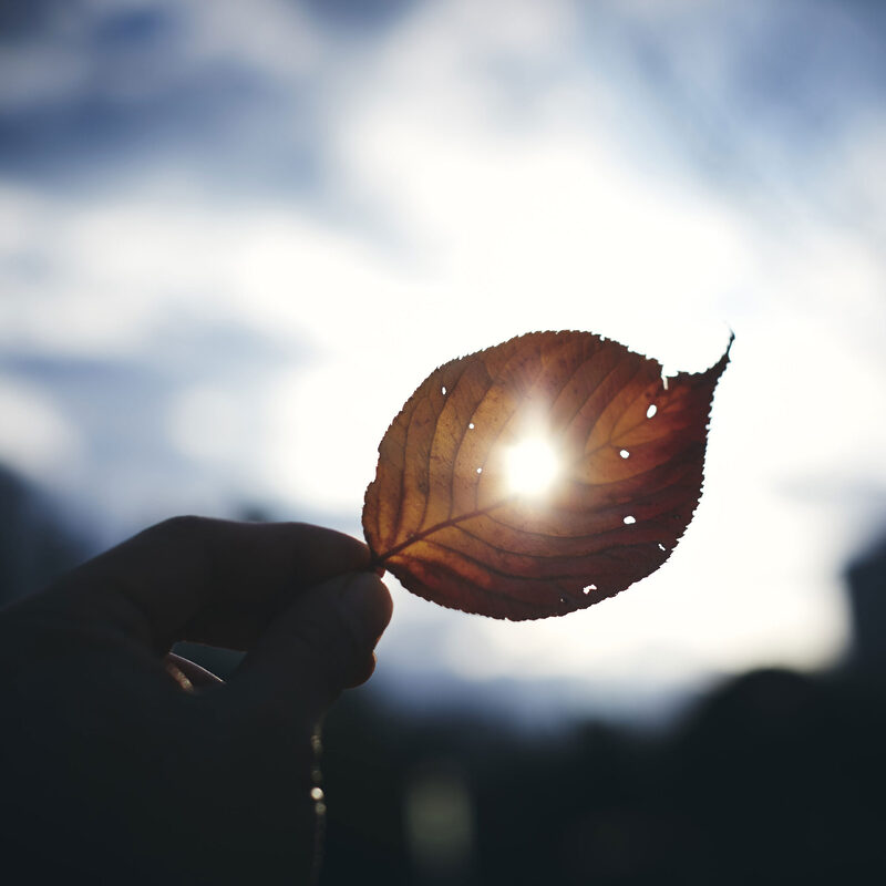 写真展と体験型イベント「Endless」をゴールドウイン東京本社にて開催