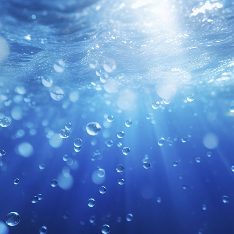 写真展と体験型イベント「Endless」をゴールドウイン東京本社にて開催