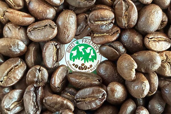 毎日の一杯で渡り鳥を守る　「バードフレンドリー®コーヒー」入門ガイド