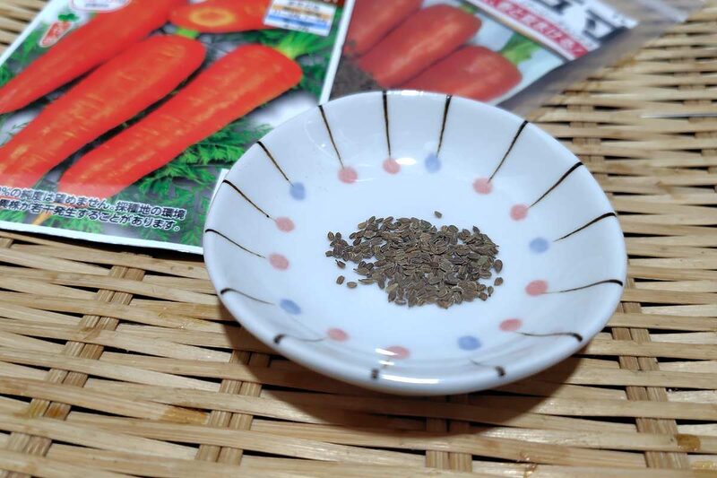 にんじん 種まき 9月