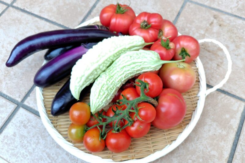 レイズドベッド 後悔