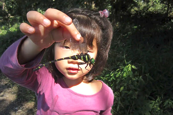 知識ゼロでも大丈夫！親子で生きもの調べの調査員になろう