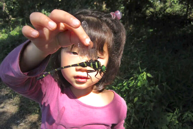 知識ゼロでも大丈夫！親子で生きもの調べの調査員になろう