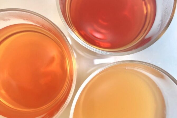 発酵茶で腸活をもっと手軽に！毎日続けられるおいしい健康習慣